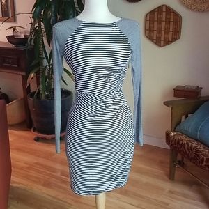 Banana Republic Bodycon Dress